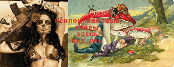 наркотики Алексин