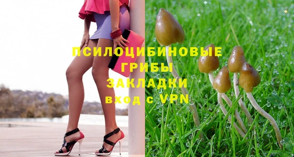 твердый Алзамай